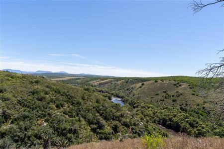 False - Farm For Sale in Stilbaai Rural, Stilbaai, Western Cape - M125705
