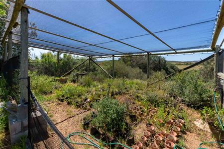 False - Farm For Sale in Stilbaai Rural, Stilbaai, Western Cape - M125705
