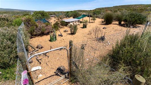 False - Farm For Sale in Stilbaai Rural, Stilbaai, Western Cape - M125705