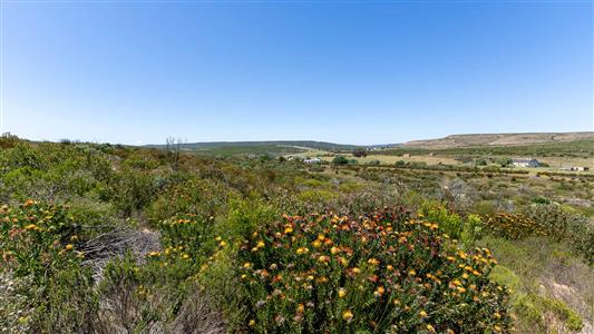 False - Farm For Sale in Stilbaai Rural, Stilbaai, Western Cape - M125705