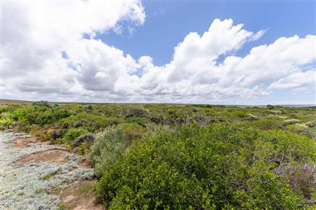 False - Vacant Land For Sale in Nautilus Bay, Mossel Bay, Western Cape - M116099