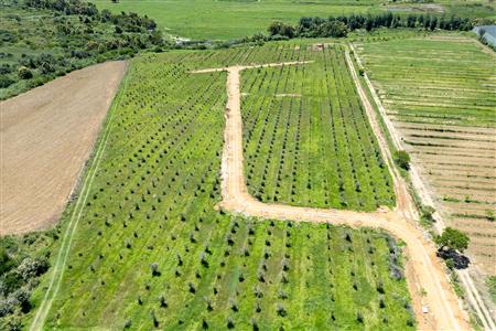 False - Vacant Land For Sale in Riversdale Rural, Riversdale, Western Cape - M125739