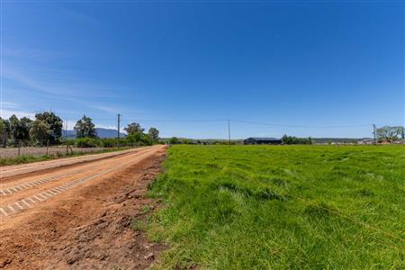 False - Vacant Land For Sale in Riversdale Rural, Riversdale, Western Cape - M125739