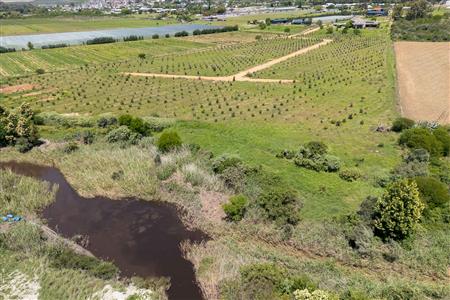 False - Vacant Land For Sale in Riversdale Rural, Riversdale, Western Cape - M125739