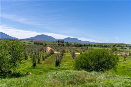 False - Vacant Land For Sale in Riversdale Rural, Riversdale, Western Cape - M125739