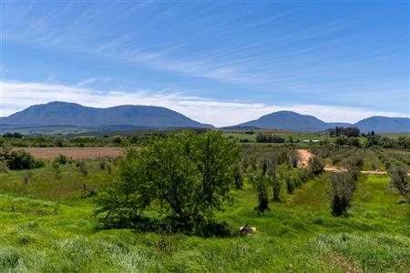 False - Vacant Land For Sale in Riversdale Rural, Riversdale, Western Cape - M125739