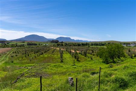 False - Vacant Land For Sale in Riversdale Rural, Riversdale, Western Cape - M125739