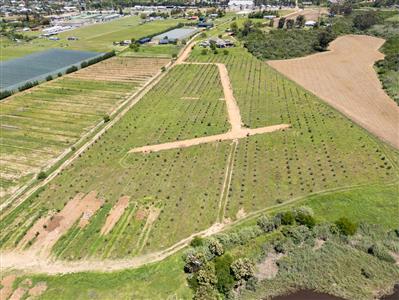 False - Vacant Land For Sale in Riversdale Rural, Riversdale, Western Cape - M125739