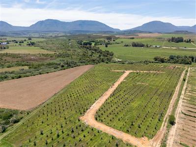 False - Vacant Land For Sale in Riversdale Rural, Riversdale, Western Cape - M125739