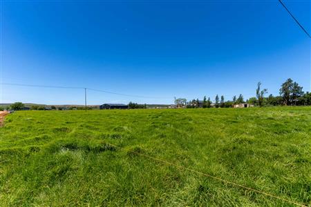 False - Vacant Land For Sale in Riversdale Rural, Riversdale, Western Cape - M125739