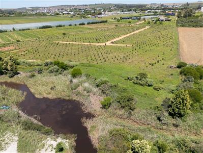 False - Vacant Land For Sale in Riversdale Rural, Riversdale, Western Cape - M125739