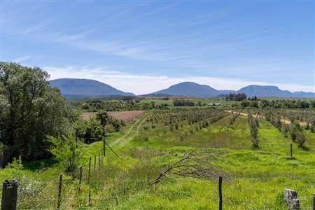 False - Vacant Land For Sale in Riversdale Rural, Riversdale, Western Cape - M125739