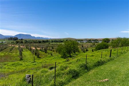 False - Vacant Land For Sale in Riversdale Rural, Riversdale, Western Cape - M125739