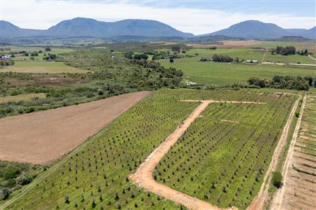 False - Vacant Land For Sale in Riversdale Rural, Riversdale, Western Cape - M125739