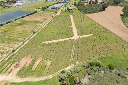 False - Vacant Land For Sale in Riversdale Rural, Riversdale, Western Cape - M125739