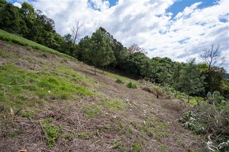 False - Vacant Land For Sale in Winterskloof, Hilton, KwaZulu Natal - M125738