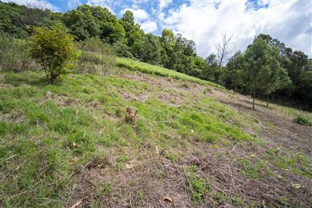 False - Vacant Land For Sale in Winterskloof, Hilton, KwaZulu Natal - M125738