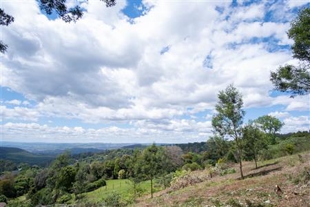 False - Vacant Land For Sale in Winterskloof, Hilton, KwaZulu Natal - M125738