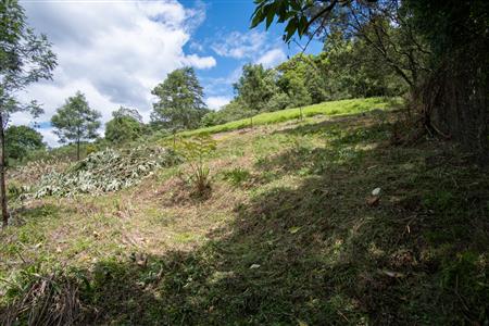 False - Vacant Land For Sale in Winterskloof, Hilton, KwaZulu Natal - M125738