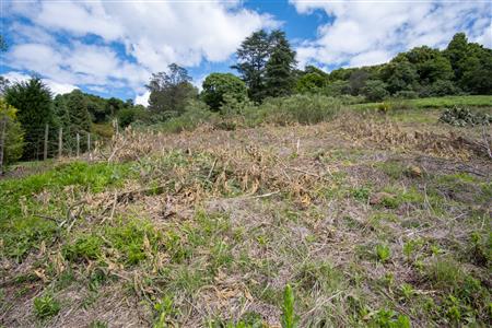 False - Vacant Land For Sale in Winterskloof, Hilton, KwaZulu Natal - M125738