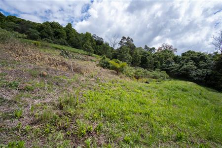 False - Vacant Land For Sale in Winterskloof, Hilton, KwaZulu Natal - M125738