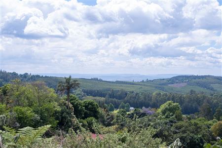 False - Vacant Land For Sale in Winterskloof, Hilton, KwaZulu Natal - M125738