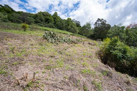 False - Vacant Land For Sale in Winterskloof, Hilton, KwaZulu Natal - M125738
