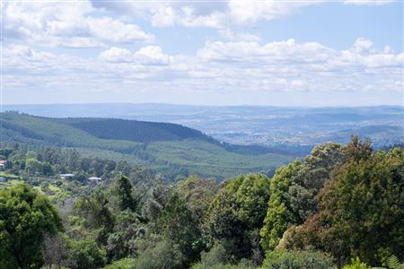 False - Vacant Land For Sale in Winterskloof, Hilton, KwaZulu Natal - M125738