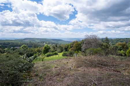 False - Vacant Land For Sale in Winterskloof, Hilton, KwaZulu Natal - M125738