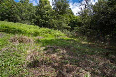 False - Vacant Land For Sale in Winterskloof, Hilton, KwaZulu Natal - M125738