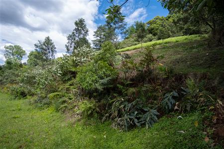 False - Vacant Land For Sale in Winterskloof, Hilton, KwaZulu Natal - M125738