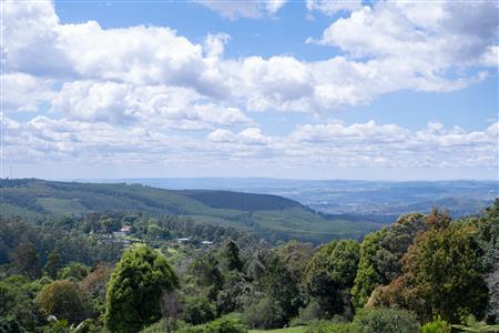 False - Vacant Land For Sale in Winterskloof, Hilton, KwaZulu Natal - M125738