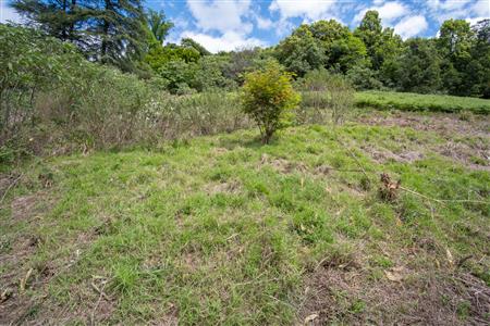 False - Vacant Land For Sale in Winterskloof, Hilton, KwaZulu Natal - M125738