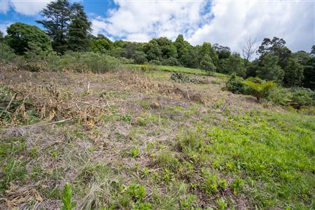 False - Vacant Land For Sale in Winterskloof, Hilton, KwaZulu Natal - M125738