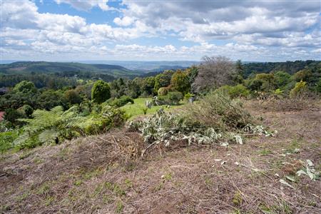 False - Vacant Land For Sale in Winterskloof, Hilton, KwaZulu Natal - M125738
