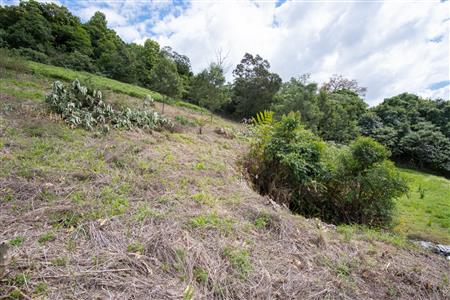 False - Vacant Land For Sale in Winterskloof, Hilton, KwaZulu Natal - M125738