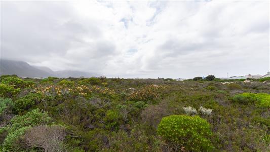 False - Vacant Land For Sale in Bettys Bay, Western Cape - M125816