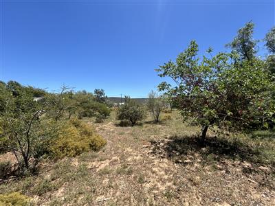 False - Vacant Land For Sale in McGregor, Western Cape - M125836