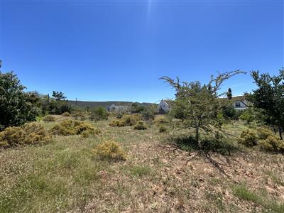 False - Vacant Land For Sale in McGregor, Western Cape - M125836