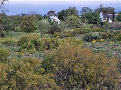 False - Vacant Land For Sale in McGregor, Western Cape - M125836