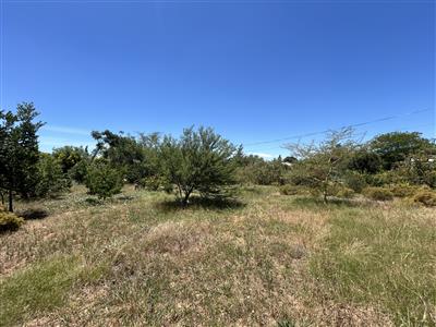 False - Vacant Land For Sale in McGregor, Western Cape - M125836