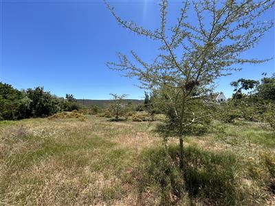 False - Vacant Land For Sale in McGregor, Western Cape - M125836