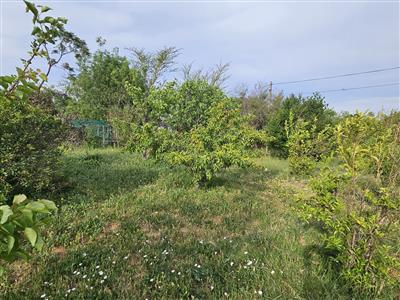 False - Vacant Land For Sale in McGregor, Western Cape - M125836