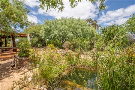 False - House For Sale in McGregor, Western Cape - M125872