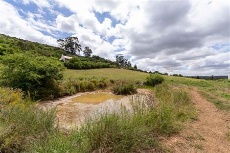 False - Vacant Land For Sale in Heidelberg AH, Heidelberg, Gauteng - M125903