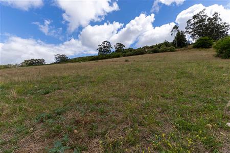 False - Vacant Land For Sale in Heidelberg AH, Heidelberg, Gauteng - M125903