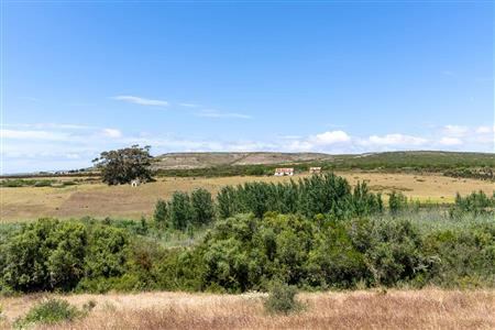 False - Farm For Sale in Stilbaai Rural, Stilbaai, Western Cape - M125905