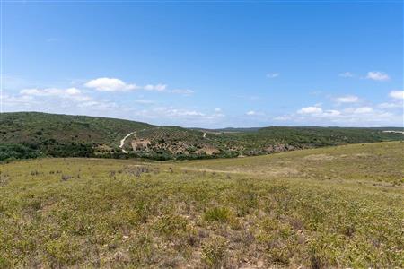 False - Farm For Sale in Stilbaai Rural, Stilbaai, Western Cape - M125905