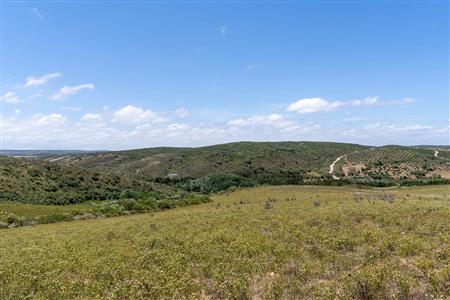 False - Farm For Sale in Stilbaai Rural, Stilbaai, Western Cape - M125905