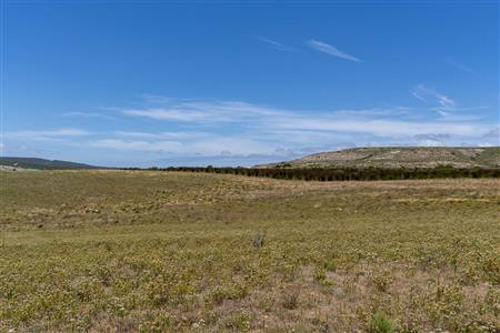 False - Farm For Sale in Stilbaai Rural, Stilbaai, Western Cape - M125905